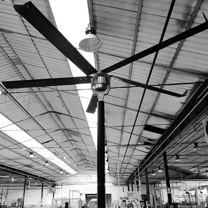 Industrial Fans in Singapore: Enhancing Airflow and Efficiency in Industrial Settings